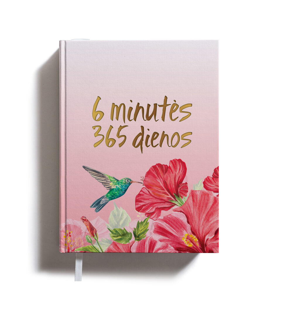 6 minutės 365 dienos (mėtinė)